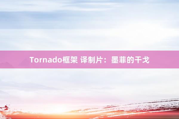 Tornado框架 译制片：墨菲的干戈